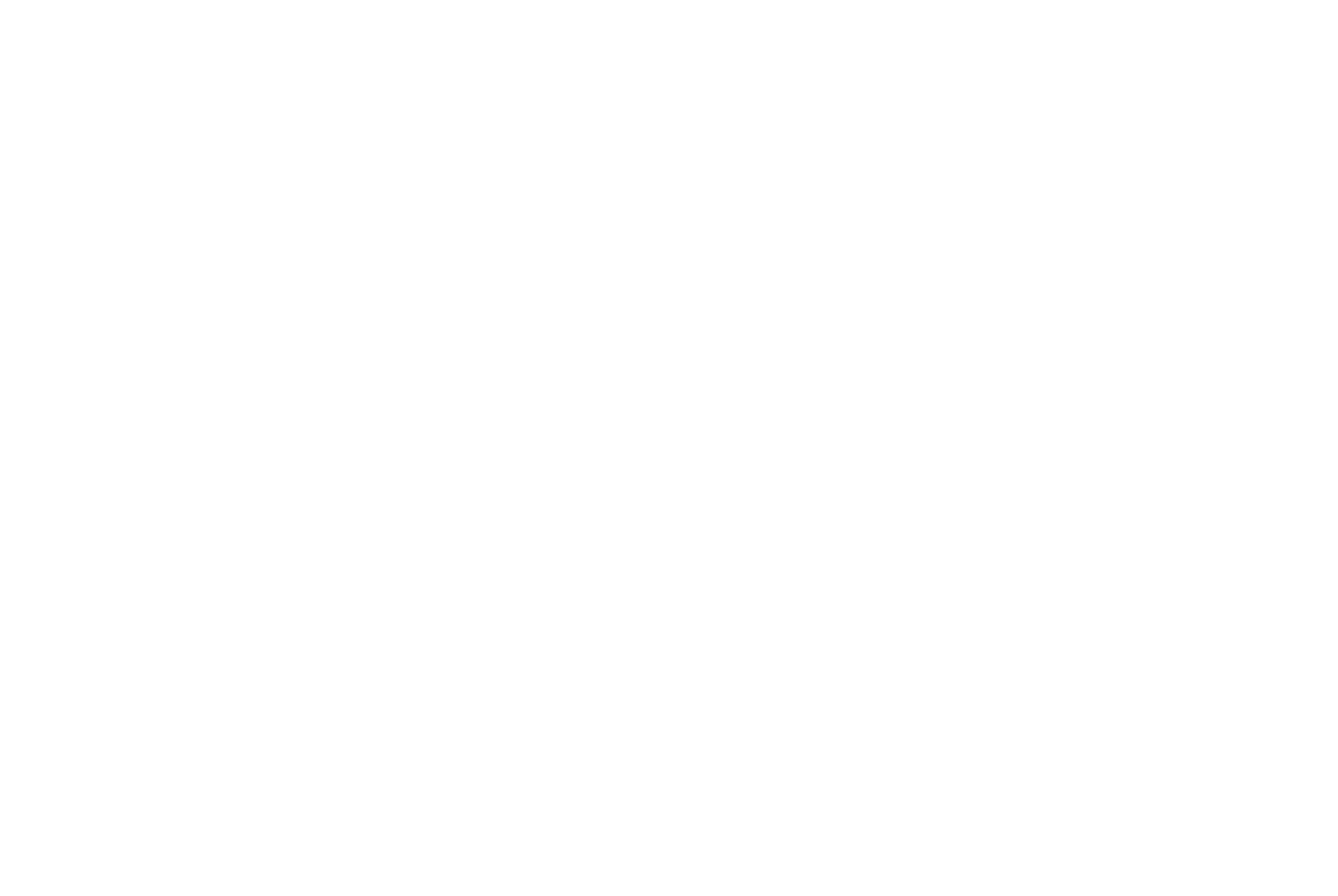 Tip Italy S.r.l.